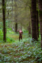 drew_into_the_woods-20.jpg