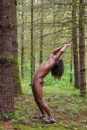 drew_into_the_woods-28.jpg