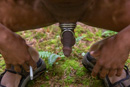 drew_into_the_woods-44.jpg